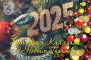 С Новым 2025 Годом!