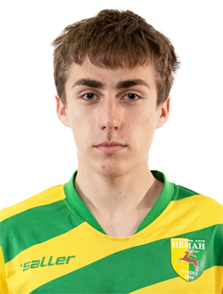 Лебедев Илья Васильевич